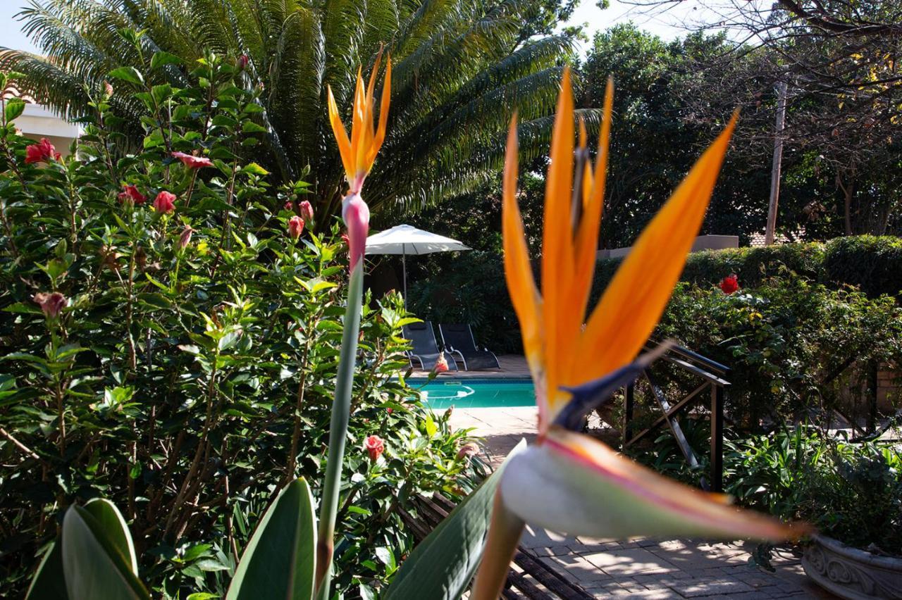 Constantia Manor Guest House Pretoria-Noord Buitenkant foto